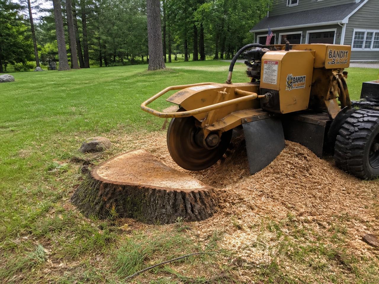 Stump Grinding & Yard Restore — Rochester, NH